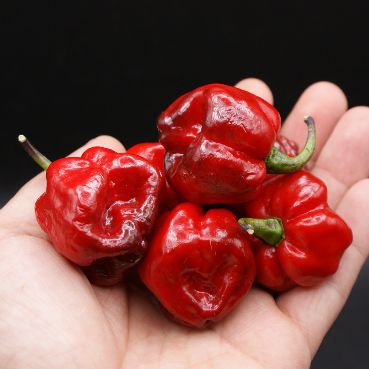 Black Betty – Image 2