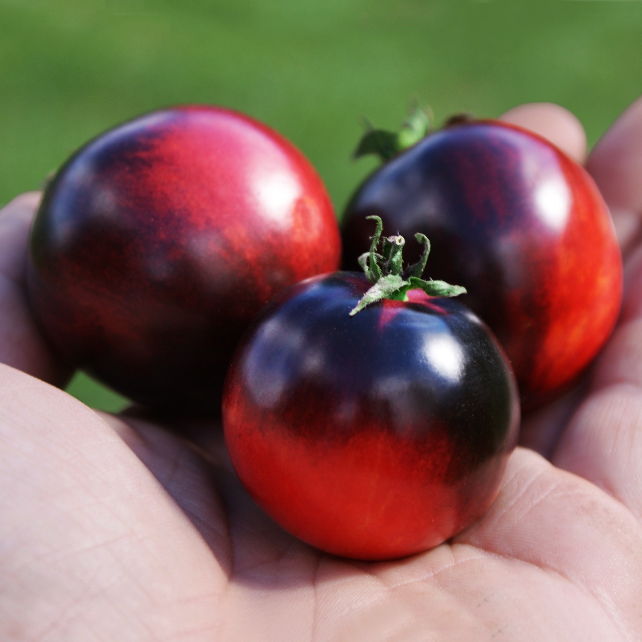 Black Strawberry – Image 3