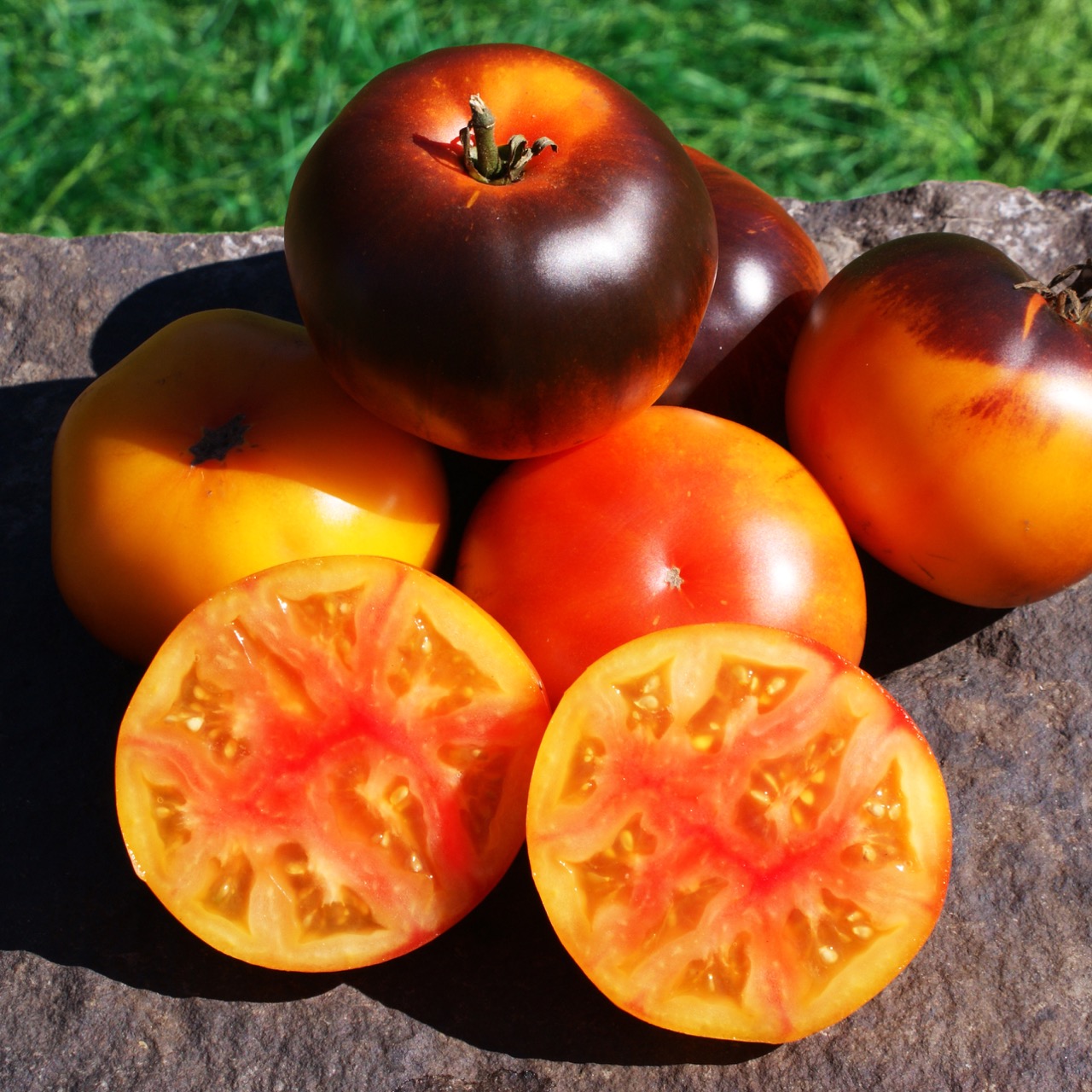 Blue Jolie – Image 2