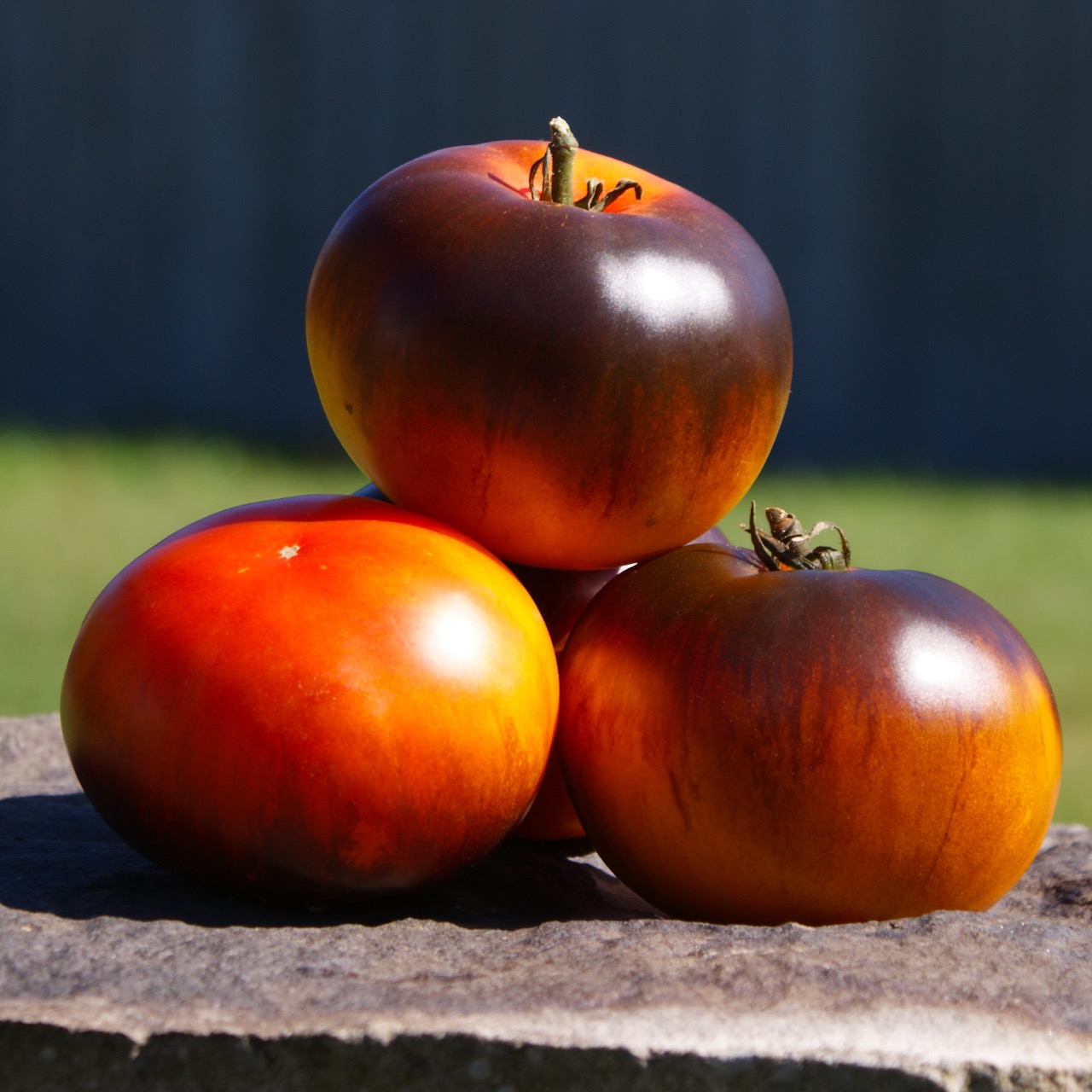 Blue Jolie – Image 4