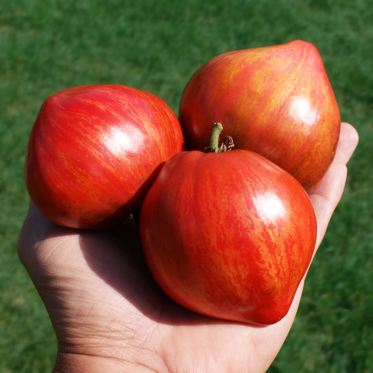 Cruched Heart – Image 3