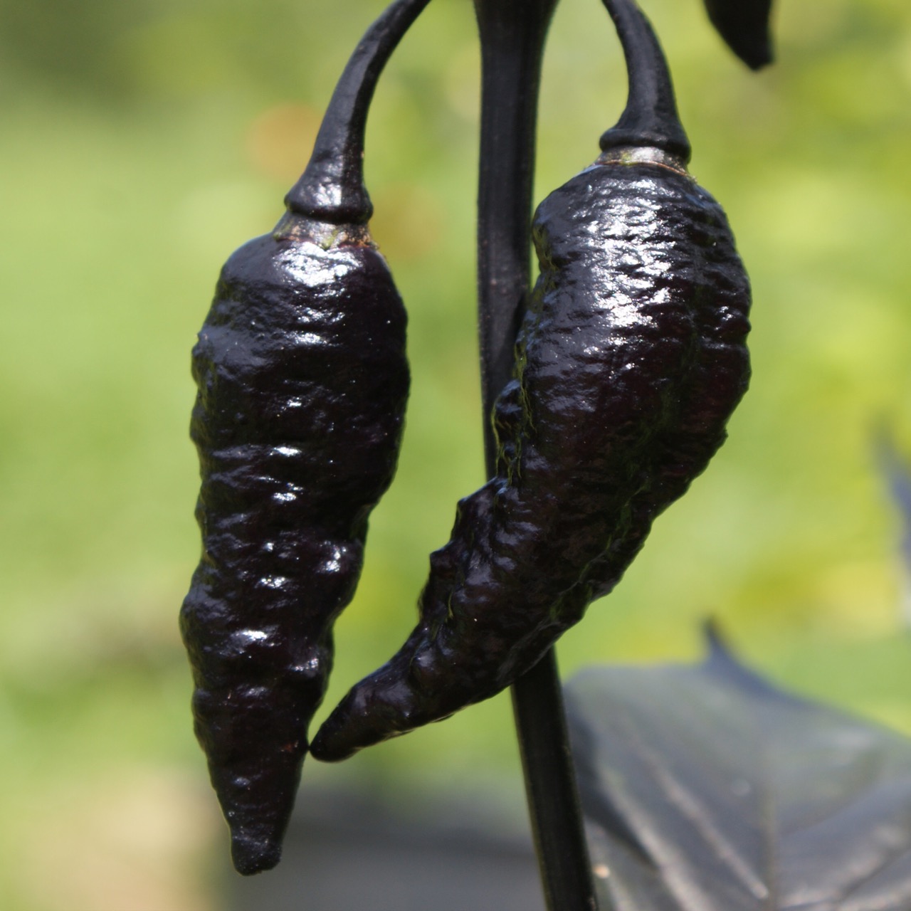 Naga Twister Black – Image 6