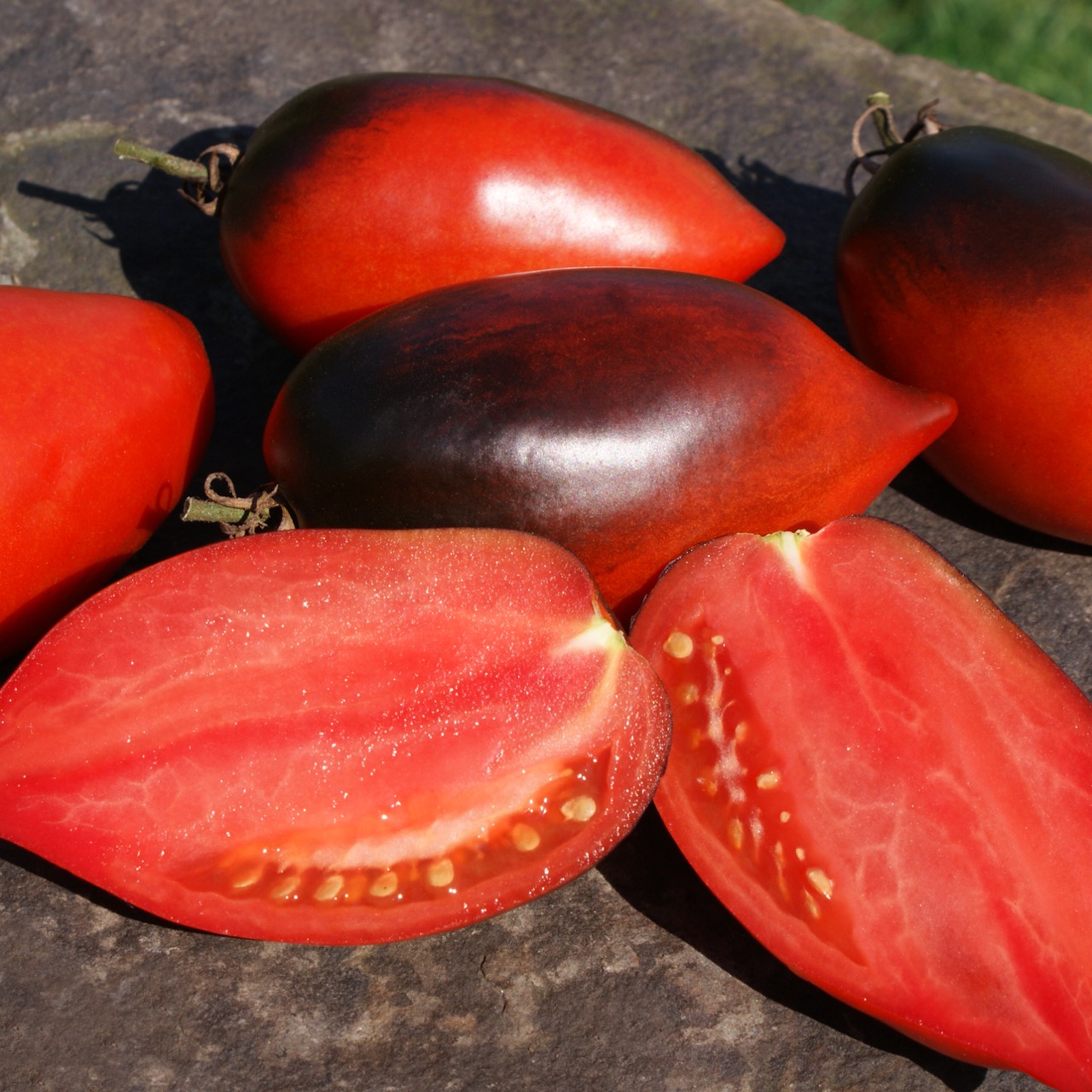 Pascal de Picardie – Image 3