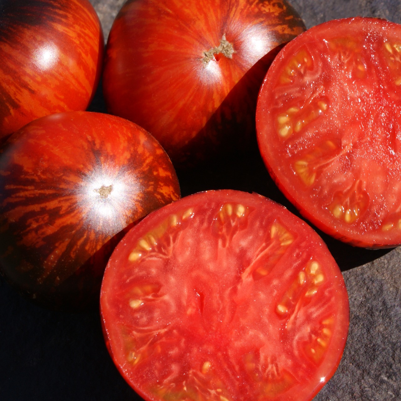 Queen of the Night - Image 2