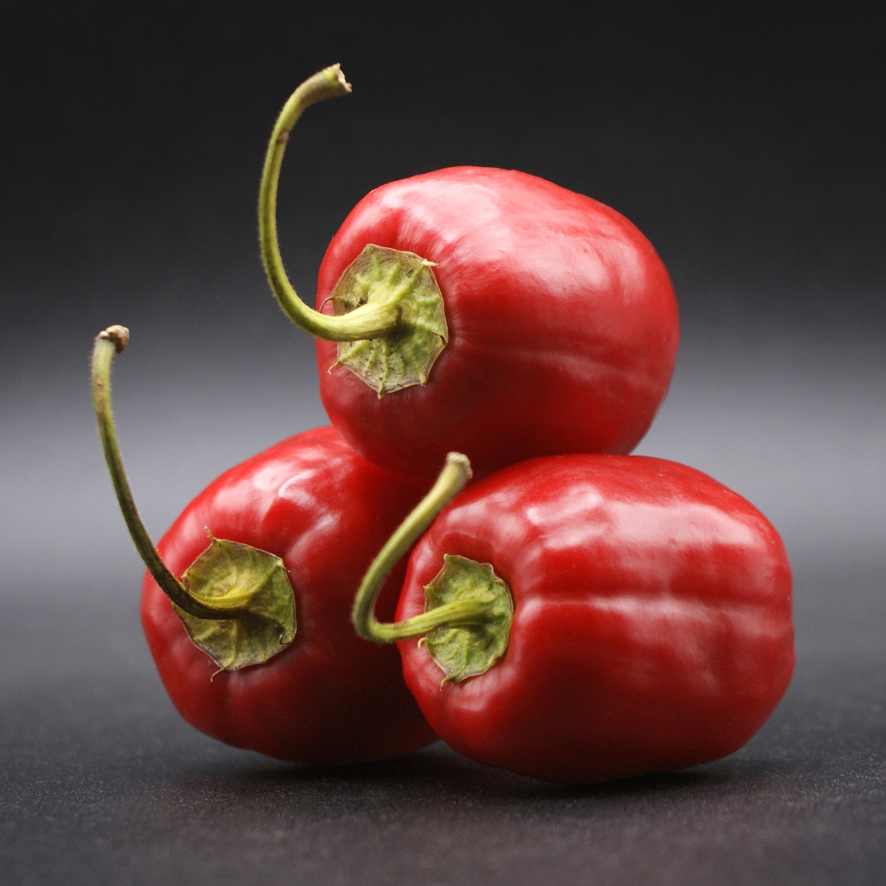 Rocoto Manzano – Image 3